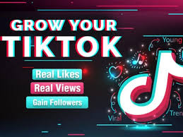 Tik Tok Fans